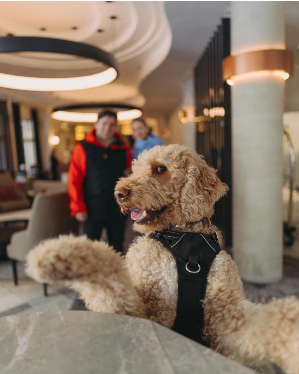 Hotel Le Westin Tremblant Mont-Tremblant Zewnętrze zdjęcie